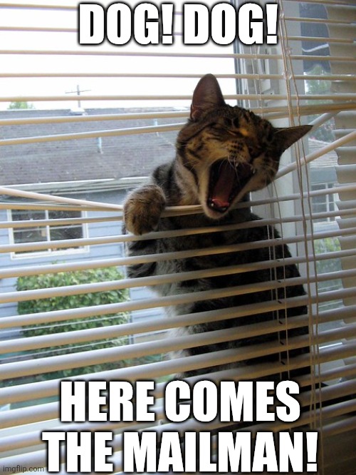 Dog Dog Here Comes The Mailman | DOG! DOG! HERE COMES THE MAILMAN! | image tagged in chrisjoines1 | made w/ Imgflip meme maker