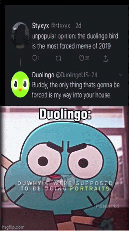 Duolingo is getting wilder - Imgflip