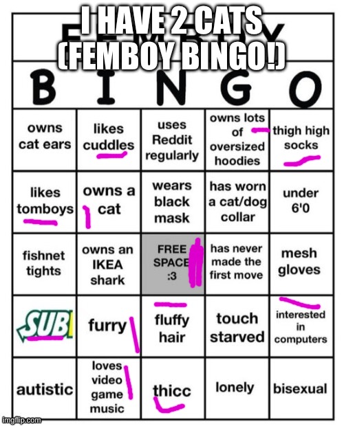 Femboy Bingo | I HAVE 2 CATS (FEMBOY BINGO!) | image tagged in femboy bingo | made w/ Imgflip meme maker