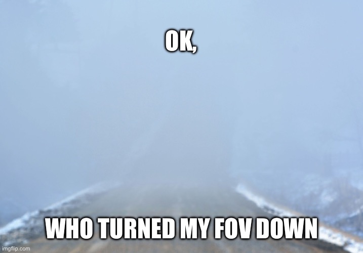 Into the fog | OK, WHO TURNED MY FOV DOWN | image tagged in into the fog,minecraft | made w/ Imgflip meme maker