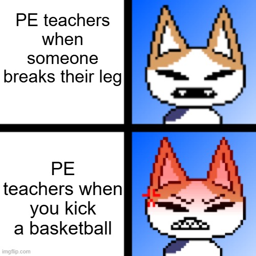 they hate it | PE teachers when someone breaks their leg; PE teachers when you kick a basketball | image tagged in catto boi normal/angry,school,teacher,angry | made w/ Imgflip meme maker