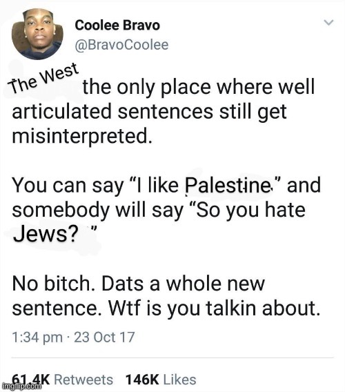 Gonna use this image next time a Zionist uses another one of their shitty strawmans | made w/ Imgflip meme maker