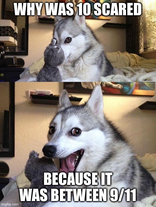 Bad Pun Husky | WHY WAS 10 SCARED; BECAUSE IT WAS BETWEEN 9/11 | image tagged in bad pun husky | made w/ Imgflip meme maker