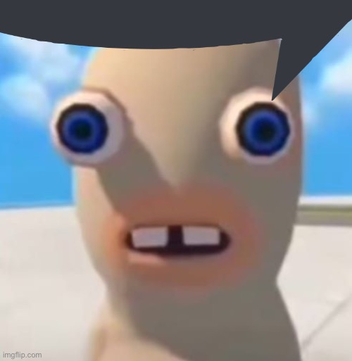 Idiot Rabbid | image tagged in idiot rabbid | made w/ Imgflip meme maker