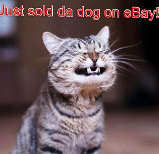 Sold The Dog | image tagged in cats,dogs,funny cats,facial expressions,ebay,for sale | made w/ Imgflip meme maker