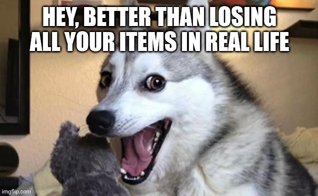Pun dog - husky | HEY, BETTER THAN LOSING ALL YOUR ITEMS IN REAL LIFE | image tagged in pun dog - husky | made w/ Imgflip meme maker