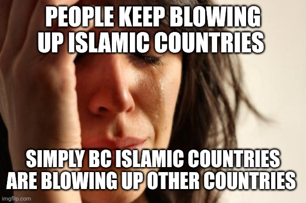 First World Problems Meme | PEOPLE KEEP BLOWING UP ISLAMIC COUNTRIES; SIMPLY BC ISLAMIC COUNTRIES ARE BLOWING UP OTHER COUNTRIES | image tagged in memes,first world problems | made w/ Imgflip meme maker