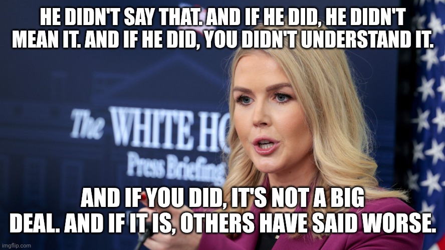 Karoline Leavitt holding the party line | HE DIDN'T SAY THAT. AND IF HE DID, HE DIDN'T MEAN IT. AND IF HE DID, YOU DIDN'T UNDERSTAND IT. AND IF YOU DID, IT'S NOT A BIG DEAL. AND IF IT IS, OTHERS HAVE SAID WORSE. | image tagged in karoline leavitt scolding,maga,donald trump,constitution,lies | made w/ Imgflip meme maker
