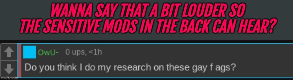 For the record pretty sure bro meant flags but idk | WANNA SAY THAT A BIT LOUDER SO THE SENSITIVE MODS IN THE BACK CAN HEAR? | made w/ Imgflip meme maker