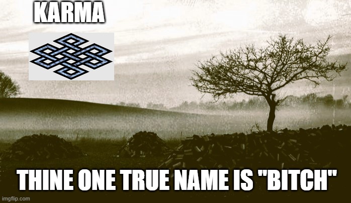 KARMA | KARMA; THINE ONE TRUE NAME IS "BITCH" | image tagged in bitch,karma,karma's a bitch | made w/ Imgflip meme maker