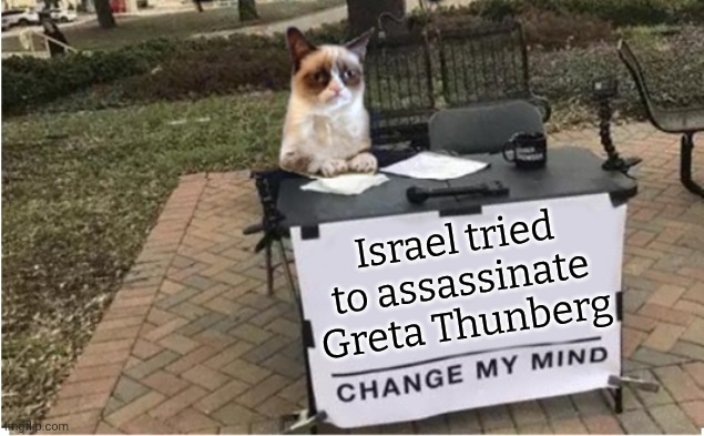 Fortunately she hadn't boarded the ship yet. | Israel tried to assassinate Greta Thunberg | image tagged in grumpy cat change my mind,drone,terrorists,sinking ship,mission failed | made w/ Imgflip meme maker