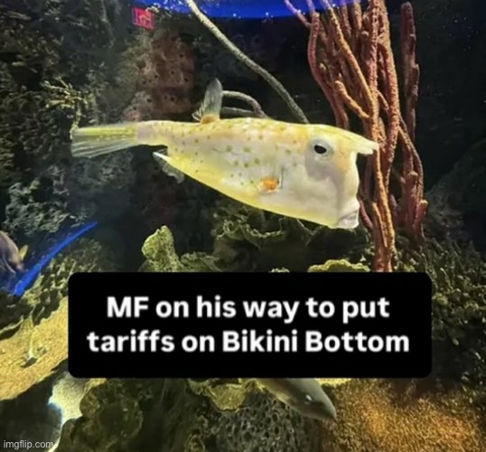 4 upvotes this goes in politics | made w/ Imgflip meme maker