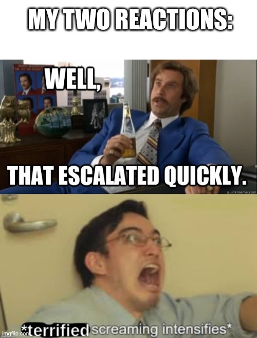 MY TWO REACTIONS: | image tagged in blank white template,will ferrell - well that escalated quickly,terrified screaming intensifies | made w/ Imgflip meme maker
