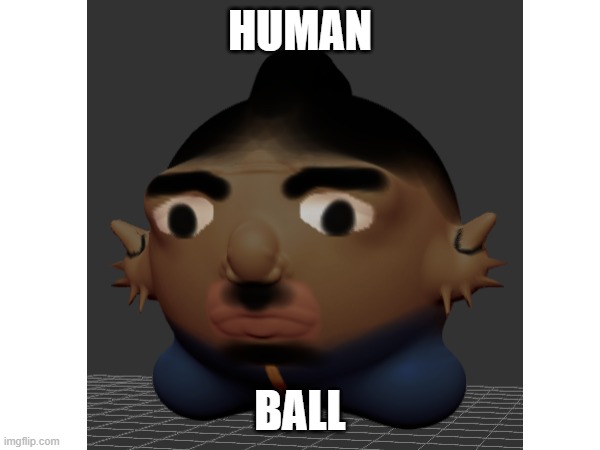 HUMAN BALL | HUMAN; BALL | image tagged in human,balls | made w/ Imgflip meme maker