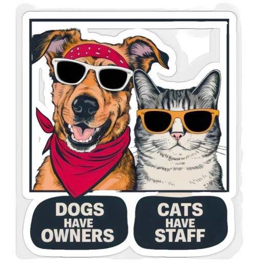 Dogs Have Owners Cats... | image tagged in dogs,funny dogs,cats,funny cats,owned,slave | made w/ Imgflip meme maker