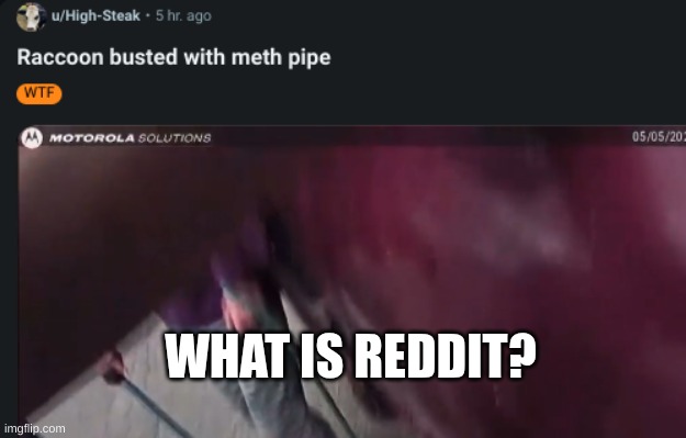 WHAT IS REDDIT? | made w/ Imgflip meme maker