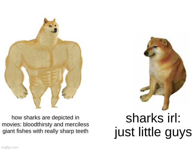 why can't there be at least one movie where a shark isn't cray-cray? | how sharks are depicted in movies: bloodthirsty and merciless giant fishes with really sharp teeth; sharks irl: just little guys | image tagged in memes,buff doge vs cheems,sharks | made w/ Imgflip meme maker