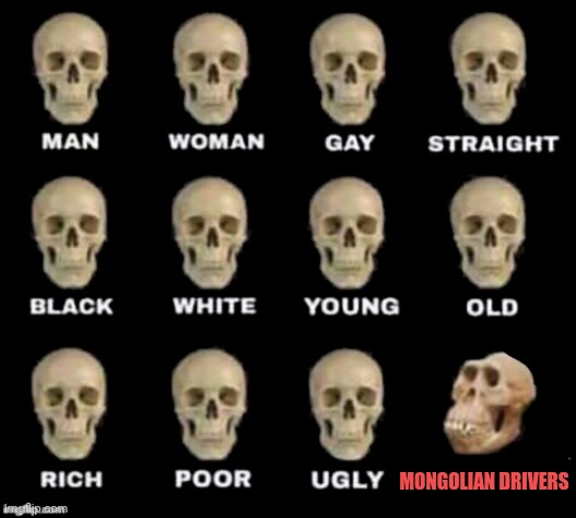 Rtyy | MONGOLIAN DRIVERS | image tagged in monkey skull | made w/ Imgflip meme maker