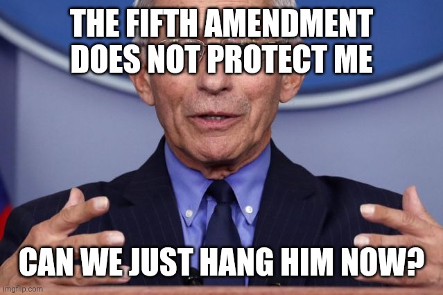 I've been pardoned! | THE FIFTH AMENDMENT DOES NOT PROTECT ME; CAN WE JUST HANG HIM NOW? | image tagged in dr anthony fauci,public viewing | made w/ Imgflip meme maker