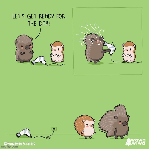 image tagged in porcupine,hedgehog,hairdryer | made w/ Imgflip meme maker