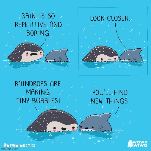 image tagged in sharks,shark,whale shark,rain,tiny,bubbles | made w/ Imgflip meme maker