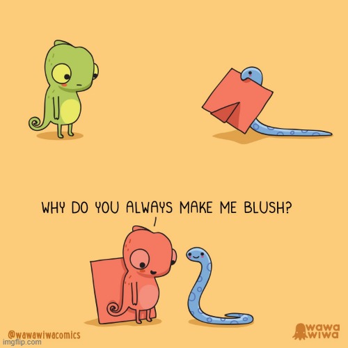 image tagged in chameleon,snake,picture frame,red,blush,aww | made w/ Imgflip meme maker