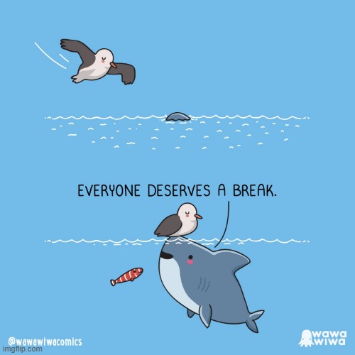 image tagged in seagull,rock,shark,fish,break,taking a break | made w/ Imgflip meme maker