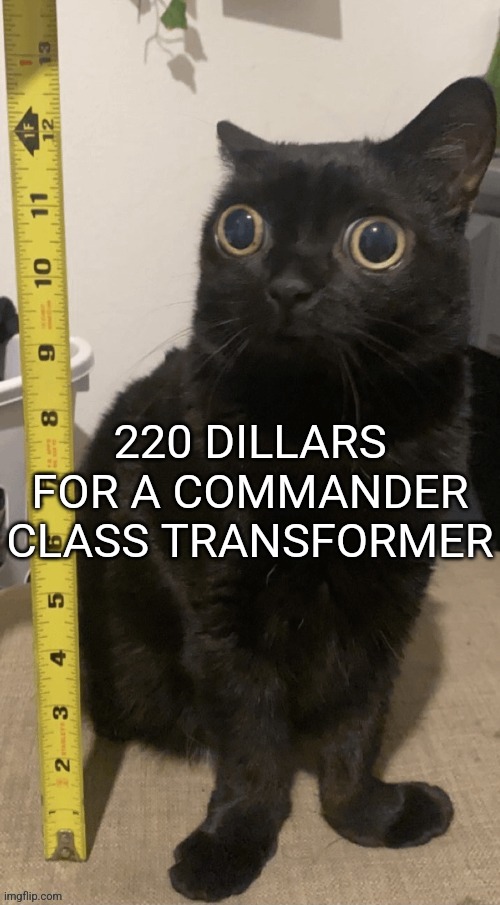 H | 220 DILLARS FOR A COMMANDER CLASS TRANSFORMER | image tagged in h | made w/ Imgflip meme maker