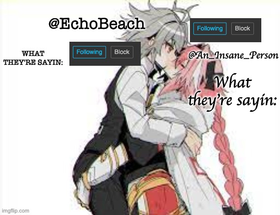 High Quality EchoBeach and InsanePerson shared temp :3 Blank Meme Template