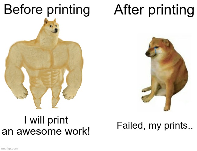 When you begin 3d print | Before printing; After printing; I will print an awesome work! Failed, my prints.. | image tagged in memes,buff doge vs cheems | made w/ Imgflip meme maker