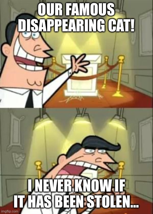 This Is Where I'd Put My Trophy If I Had One Meme | OUR FAMOUS DISAPPEARING CAT! I NEVER KNOW IF IT HAS BEEN STOLEN… | image tagged in memes,this is where i'd put my trophy if i had one | made w/ Imgflip meme maker