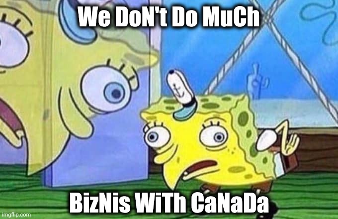 Mocking Spongebob | We DoN't Do MuCh; BizNis WiTh CaNaDa | image tagged in mocking spongebob | made w/ Imgflip meme maker