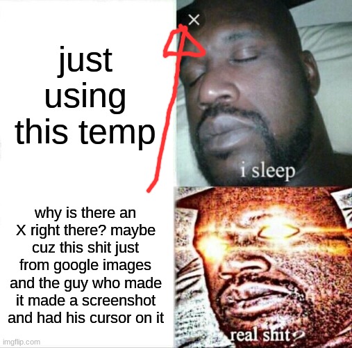 just a theory | just using this temp; why is there an X right there? maybe cuz this shit just from google images and the guy who made it made a screenshot and had his cursor on it | image tagged in memes,sleeping shaq | made w/ Imgflip meme maker