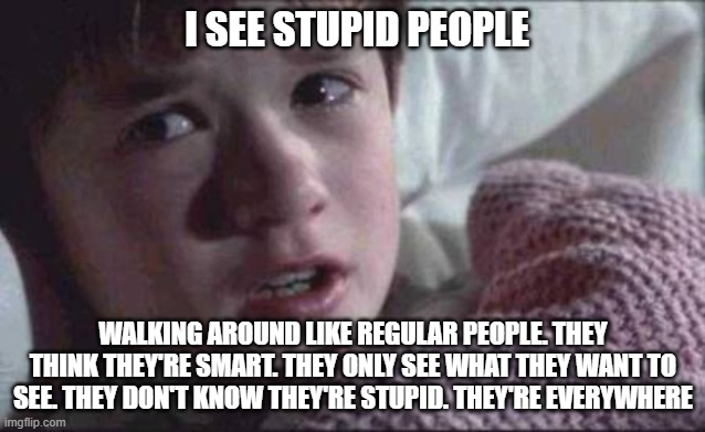 I see stupid people | I SEE STUPID PEOPLE; WALKING AROUND LIKE REGULAR PEOPLE. THEY THINK THEY'RE SMART. THEY ONLY SEE WHAT THEY WANT TO SEE. THEY DON'T KNOW THEY'RE STUPID. THEY'RE EVERYWHERE | image tagged in memes,i see dead people | made w/ Imgflip meme maker