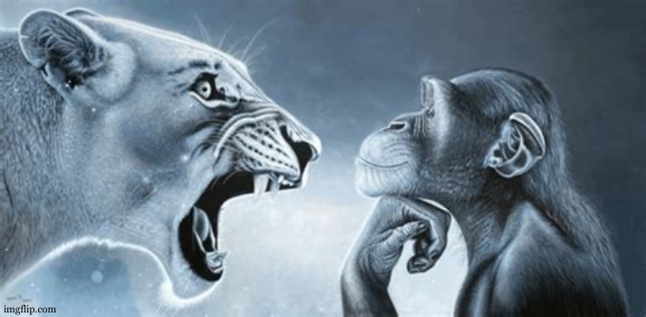 tiger yell at pondering monkey | image tagged in tiger yell at pondering monkey | made w/ Imgflip meme maker