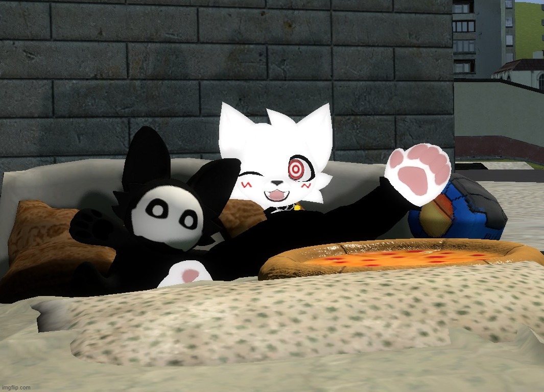 the silly cat is in bed, joyful at your presence | image tagged in silly cat,furry,uwu | made w/ Imgflip meme maker