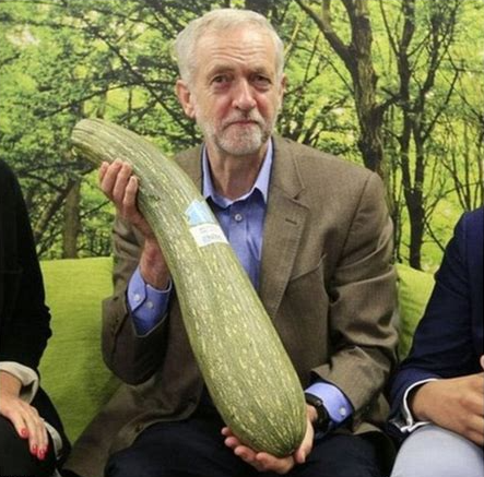 Zuccini man Blank Meme Template