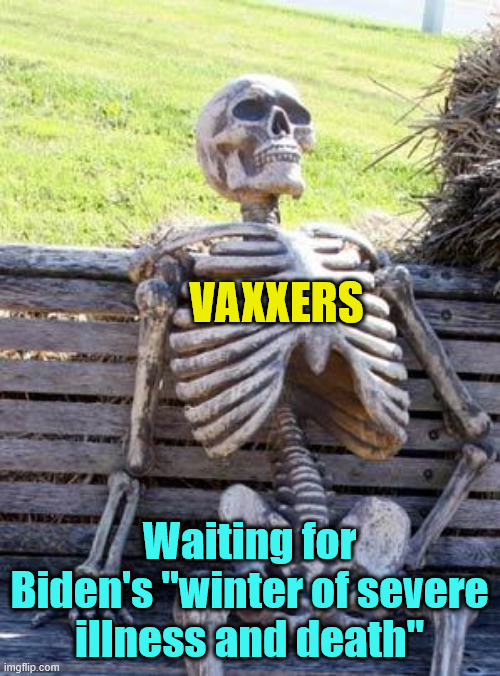 Waiting Skeleton Meme | VAXXERS Waiting for Biden's "winter of severe illness and death" | image tagged in memes,waiting skeleton | made w/ Imgflip meme maker
