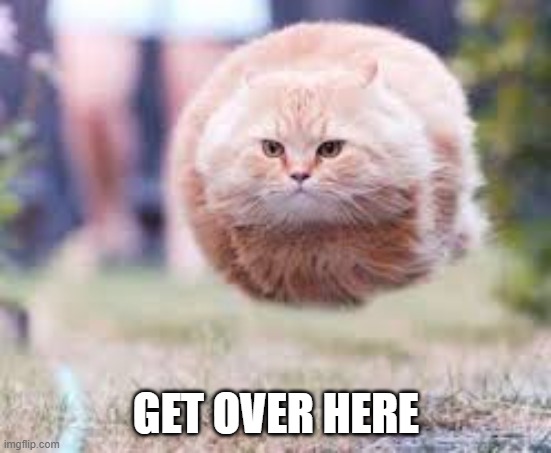 GET OVER HERE | GET OVER HERE | image tagged in get over here | made w/ Imgflip meme maker