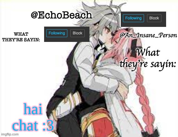 EchoBeach and InsanePerson shared temp :3 | hai chat :3 | image tagged in echobeach and insaneperson shared temp 3 | made w/ Imgflip meme maker