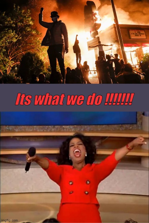 Hook line & sinker they bought the DEMrat lies. | Its what we do !!!!!!! | image tagged in memes,oprah you get a | made w/ Imgflip meme maker