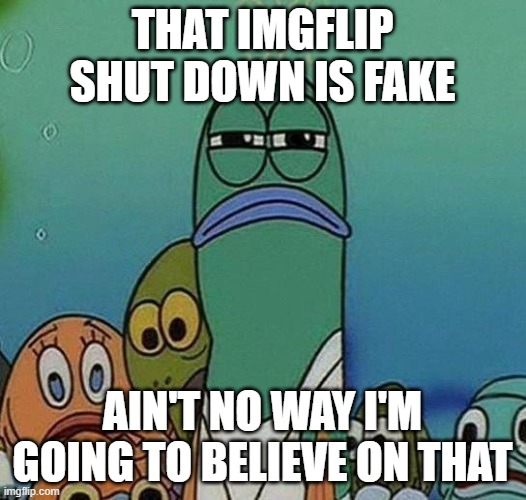 Don't be like one of those tiktok videos | THAT IMGFLIP SHUT DOWN IS FAKE; AIN'T NO WAY I'M GOING TO BELIEVE ON THAT | image tagged in spongebob,fake news | made w/ Imgflip meme maker