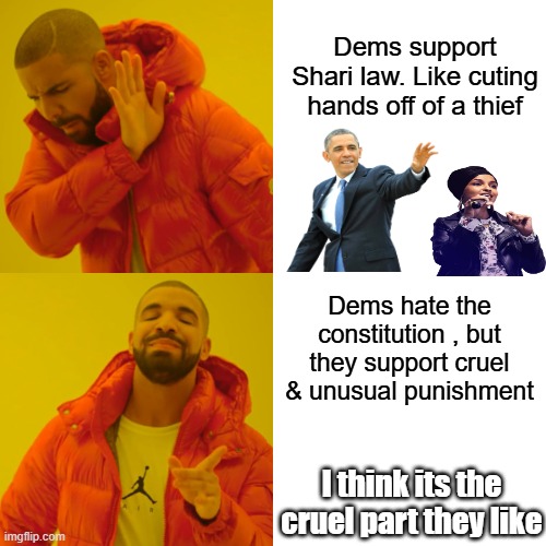 You can't have a freedom loving country with those types in your gov. WAKE UP. | Dems support Shari law. Like cuting hands off of a thief; Dems hate the constitution , but they support cruel & unusual punishment; I think its the cruel part they like | image tagged in memes,drake hotline bling | made w/ Imgflip meme maker