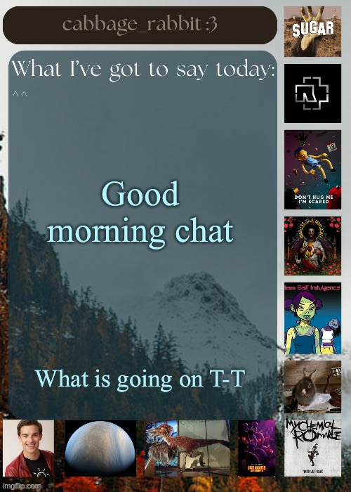 6 in the morning and there’s already drama | Good morning chat; What is going on T-T | image tagged in cabbage_rabbit | made w/ Imgflip meme maker