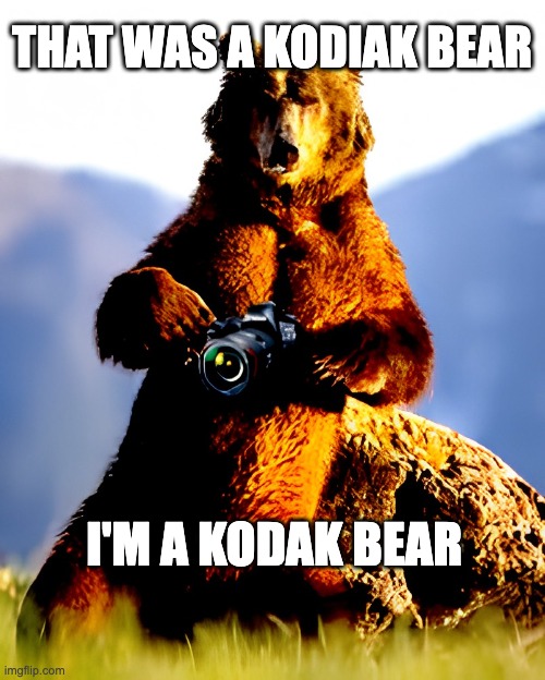 THAT WAS A KODIAK BEAR I'M A KODAK BEAR | made w/ Imgflip meme maker