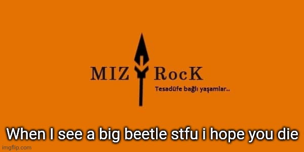 Haha! Haha! Nice meme! Haha! | When I see a big beetle stfu i hope you die | image tagged in mizrock | made w/ Imgflip meme maker