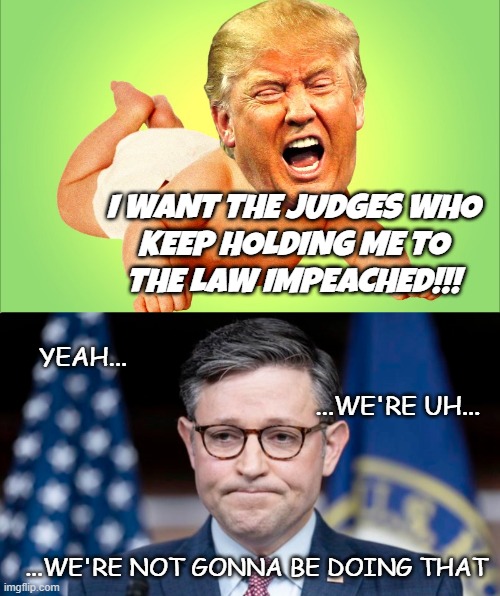 Chalk one up in the "sanity for the moment" column | I WANT THE JUDGES WHO
KEEP HOLDING ME TO
THE LAW IMPEACHED!!! YEAH... ...WE'RE UH... ...WE'RE NOT GONNA BE DOING THAT | image tagged in baby trump,mike johnson,surprising | made w/ Imgflip meme maker