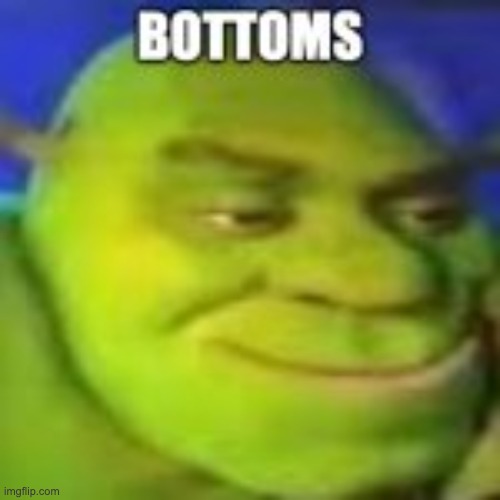 shrek shitpost | image tagged in shrek shitpost | made w/ Imgflip meme maker