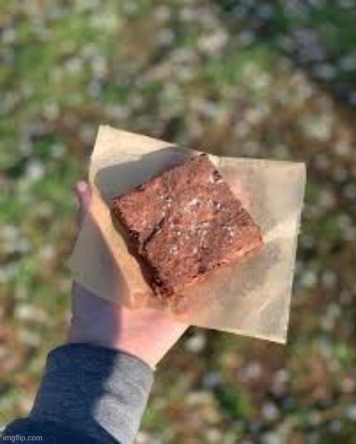 had this brownie yesterday :3 | image tagged in weed,legalize weed,gay,brownie,drugs,yuh | made w/ Imgflip meme maker