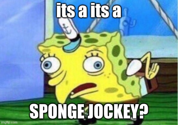 Mocking Spongebob Meme | its a its a; SPONGE JOCKEY? | image tagged in memes,mocking spongebob | made w/ Imgflip meme maker